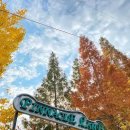 영인면 아산온천로 이미지