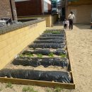 행복나무유치원 이미지