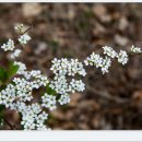 그날농장 이미지