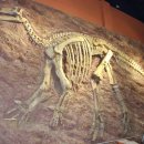 대영파크여관 이미지