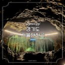 소망열대어수족관 | 광명동굴 입장료 할인 국내 숨은 여행지 추천 경기도 가볼만한곳