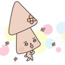 펫츠아일랜드 이미지