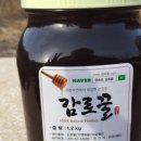정순조감로꿀
