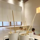 리치리 스테이 이미지