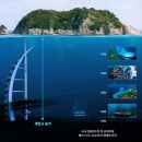 상정리 580-3번지 앞 | [하늘에서 바라본 한국의 숨결] 제주 서귀포층 패류화석산지, 문섬·범섬 천연보호구역, 제주 삼도파초...