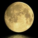 행복을주는약국 이미지