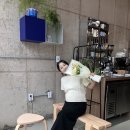아리타이 네이버블로그