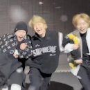 스타빌 이미지
