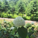 보성 찐명소 꼭 추천하고픈 윤제림과 로얄캠핑하우스 숙박 상세 후기