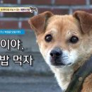 먹자 이미지