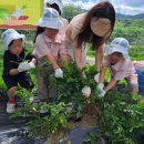 유아교육진흥원 이미지