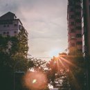 한가한오후 이미지