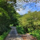 진안 구봉산 등산코스 후기 (구봉저수지-구봉산 천왕봉-구봉저수지)