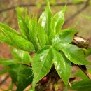 서창어린이집 이미지