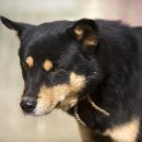 금골농장 이미지