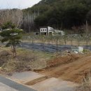 고래부동산공인중개사사무소 이미지