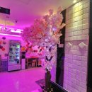 광교노래연습장 이미지