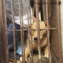 김효진농장 이미지