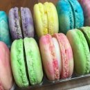 지쁠레르 이미지