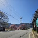 남상전척삼거리 네이버블로그