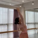 더뮤즈발레
