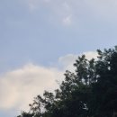 오토케이쥐