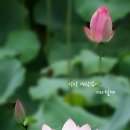 드르와 Daum카페