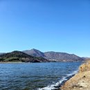 낙동강변26 이미지