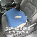 메이나인리테일 메모리폼 꼬리뼈방석, 엉덩이 통증을 덜어준 편안한 방석 후기
