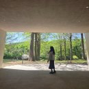경안충전소 | 용인 호암미술관 후기 🌿 예약·주차·호암카페·희원까지 완벽했던 어버이날 데이트