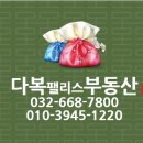 다복팰리스공인중개사사무소 이미지