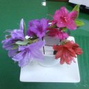 목행초등학교 이미지