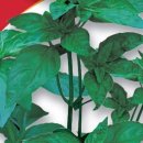 경신농약사 이미지