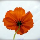 회포농장 이미지