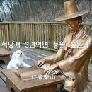 서당개 이미지