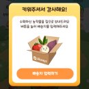 📦 올팜 오렌지 수확 리얼후기! 배송까지 걸린 시간과 빨리 받는 꿀팁 총정리 🍊 (+오렌지 쉽게 까는법..)