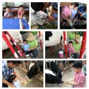 대현목장 이미지