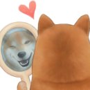 산청동물의료센터 이미지