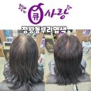 천연염색길 | 정왕동뿌리염색 큐사랑 서촌건영점 두피케어와 천연염색 후기