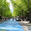 용문벨라지오 이미지