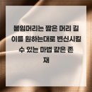 개인의취향 | 신림역붙임머리 개인의 취향에 맞게 붙이는 신림붙임머리