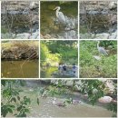 롯데캐슬마스터공인중개사사무소 | 해운대 신도시 아파트 해운대 중동 롯데캐슬마스터2차 34평형 전세가 4억 호텔급특특 멋진인테리어...