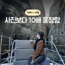터미널약국 | 거제도 해금강 유람선 고민 끝! 최신형 구조라유람선 예약방법 총정리