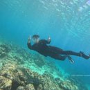 4608 | 보홀 디프리 호핑투어 현지 업체, 스노쿨링+발리카삭 투어 후기