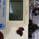 굿마루농장 이미지