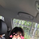 베르베르헤어