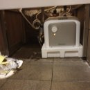 합성동281 이미지