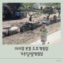 오토월드(매직카) | 아이랑 경북 가족캠핑 문경 오토캠핑장 가은달빛캠핑장, 문경 관광지 추천