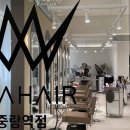 뽀글이헤어앞 | 중랑구미용실에서 단아 디자이너님께 시세이도 클리닉 받은 후기, 에이바헤어 중랑역점