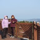 도리산전망대 티스토리